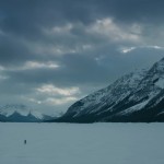 the revenant review