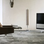 Bang & Olufsen BeoLab 18 en 19