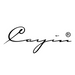 Cayin logo