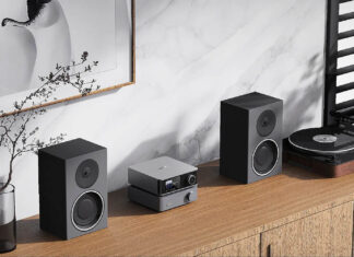 WiiM Vibelink Amp