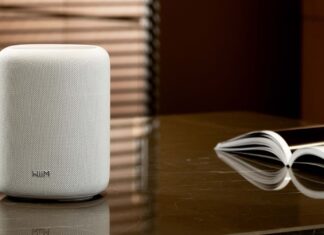 WiiM Sound Lite