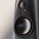 Linn 343